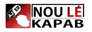 logo AJFER-NLKP 2013